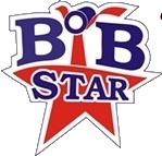 BIB Star Logo
